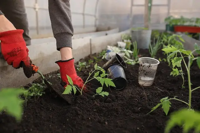 Tuinman in Best