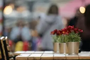Bedrijven in Best Terras in Best
